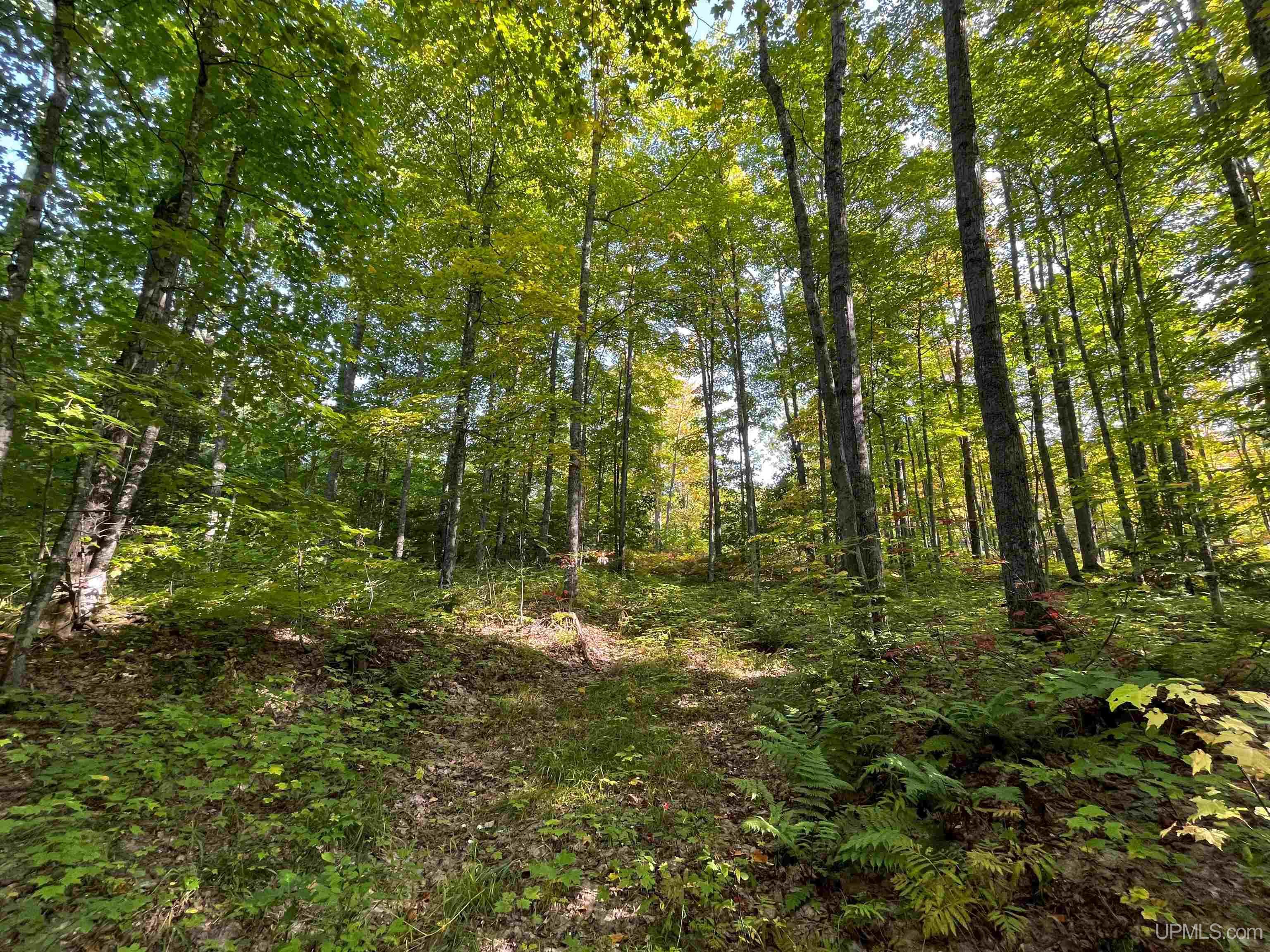 Tbda Worham Road Chassell, MI 49916 - Photo 13 of 28