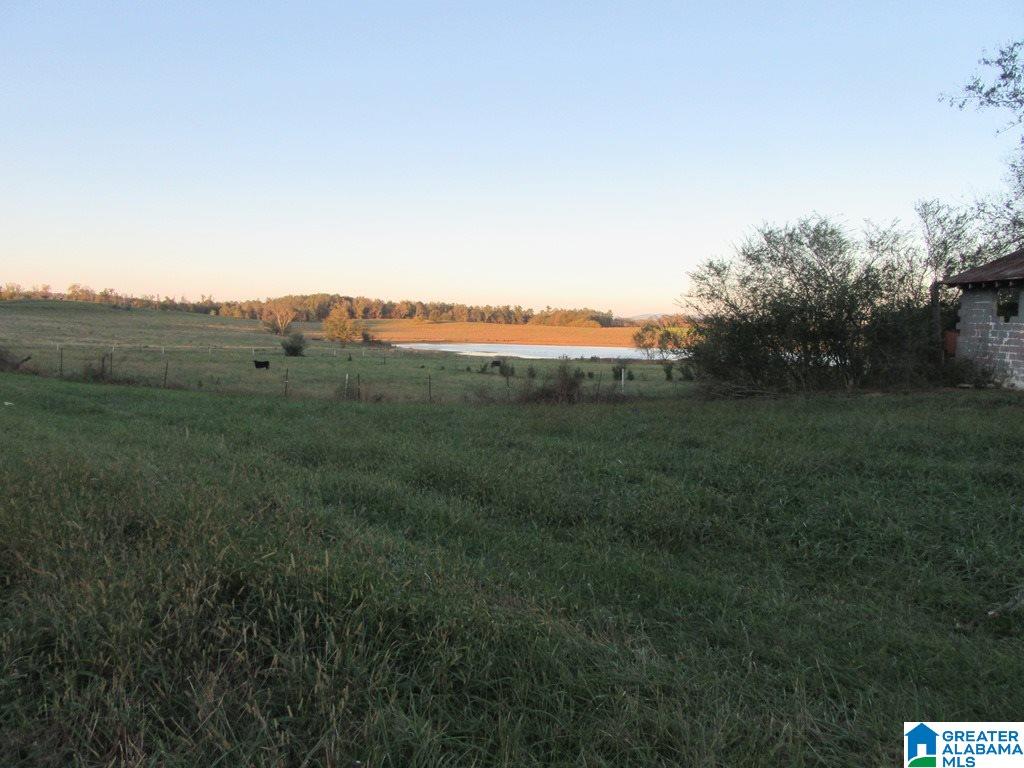 0 Eastaboga Road, Unit 1 Talladega, AL 35160 - Photo 29 of 30