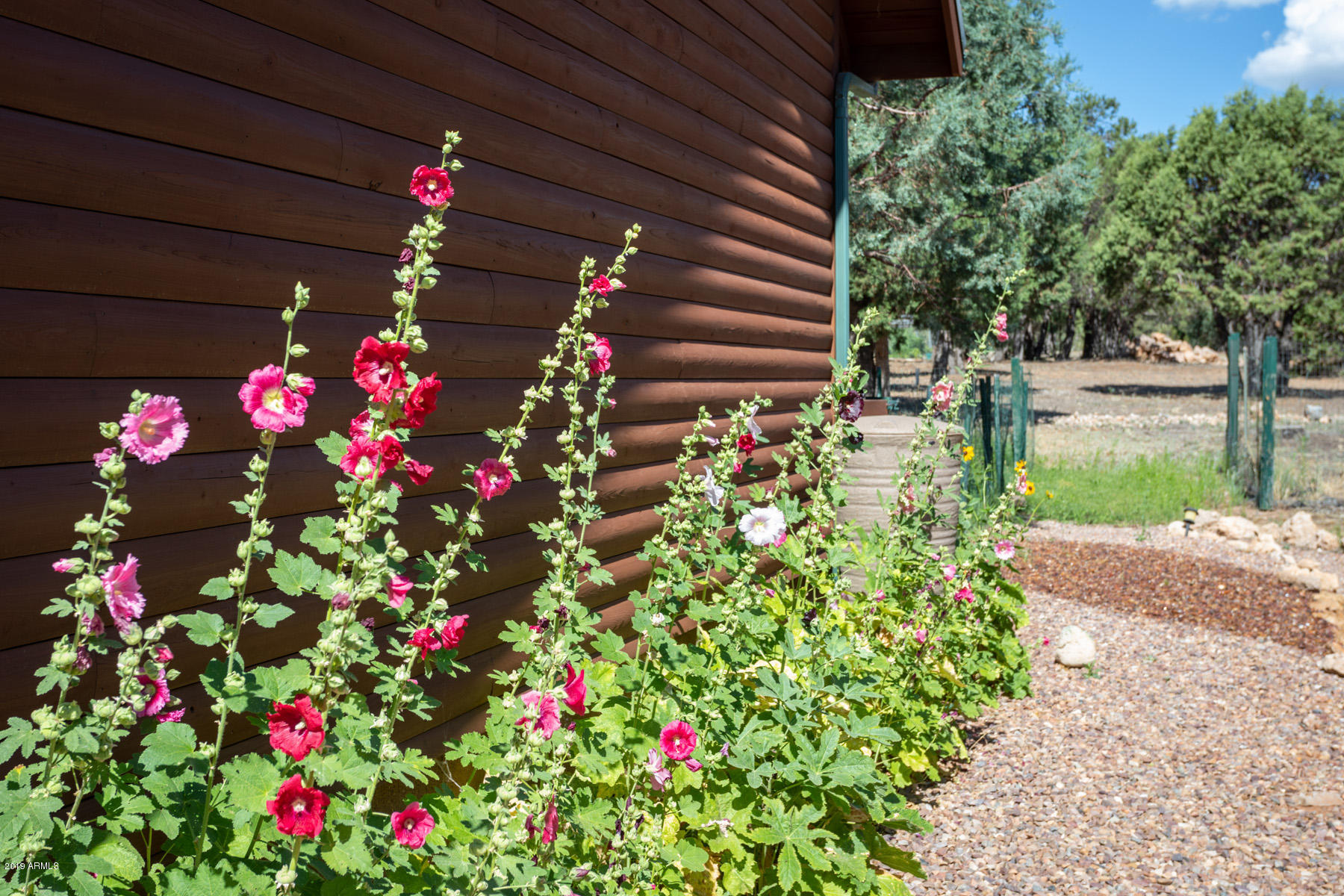 2212 4 Point Circle Overgaard, AZ 85933 - Photo 8 of 26 Image_08