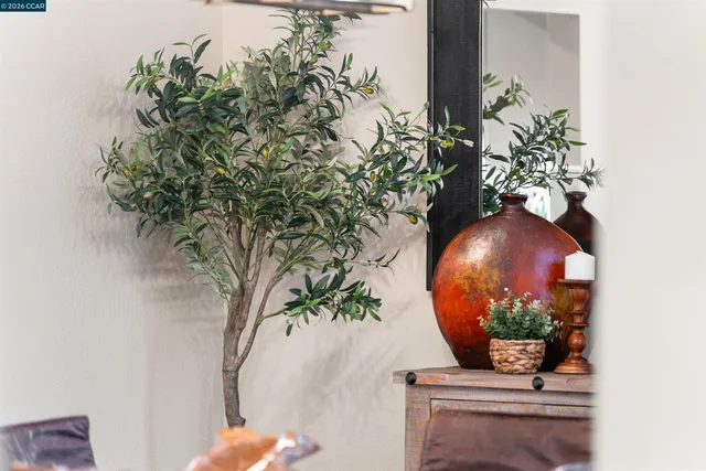 a view of a yard and pathway