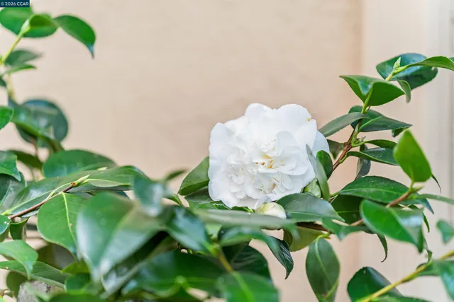 $969,000 | 582 La Corso Drive, Walnut Creek, CA 94598