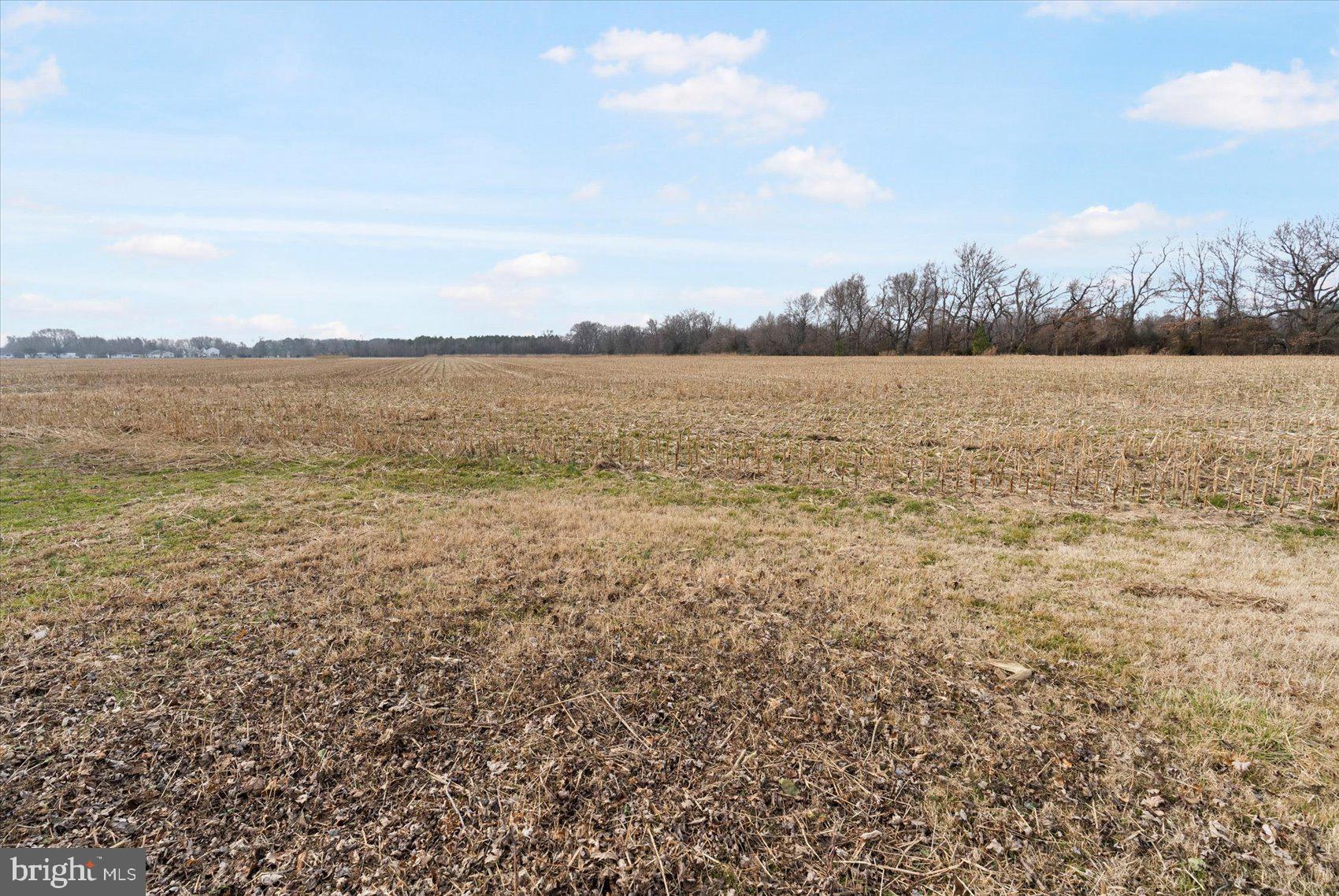 604 Dominion Road Chester, MD 21619 - Photo 43 of 46