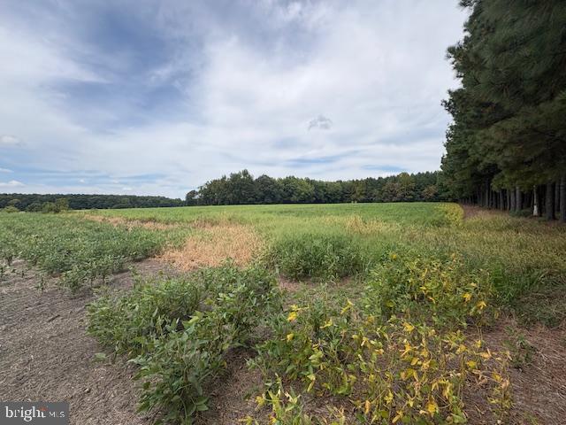 21682 Dover Bridge Road Preston, MD 21655 - Photo 19 of 23