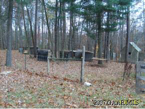 3121 Cold Springs Road Greenville, VA 24440 - Photo 4 of 6 a backyard of a house with lots of green space