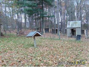3121 Cold Springs Road Greenville, VA 24440 - Photo 5 of 6 a backyard of a house with lots of green space