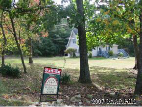 3121 Cold Springs Road Greenville, VA 24440 - Photo 6 of 6 a view of a park with a tree