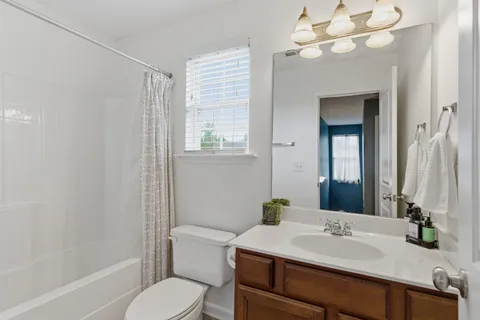 a view of staircase with wooden floor and a potted plant