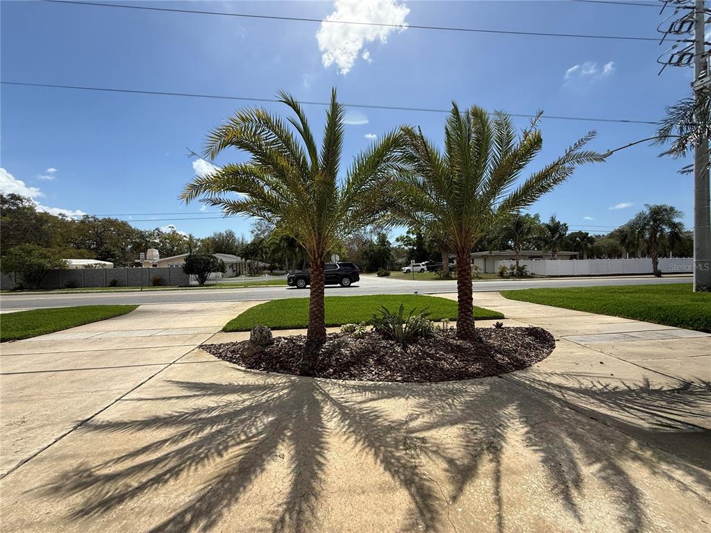 2058 Nursery Road Clearwater, FL 33764 - Photo 6 of 76