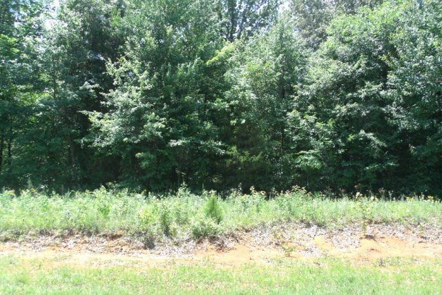 Tract B Steam Mill Road Smiths Grove, KY 42171 - Photo 1 of 4 Gallery Image 1
