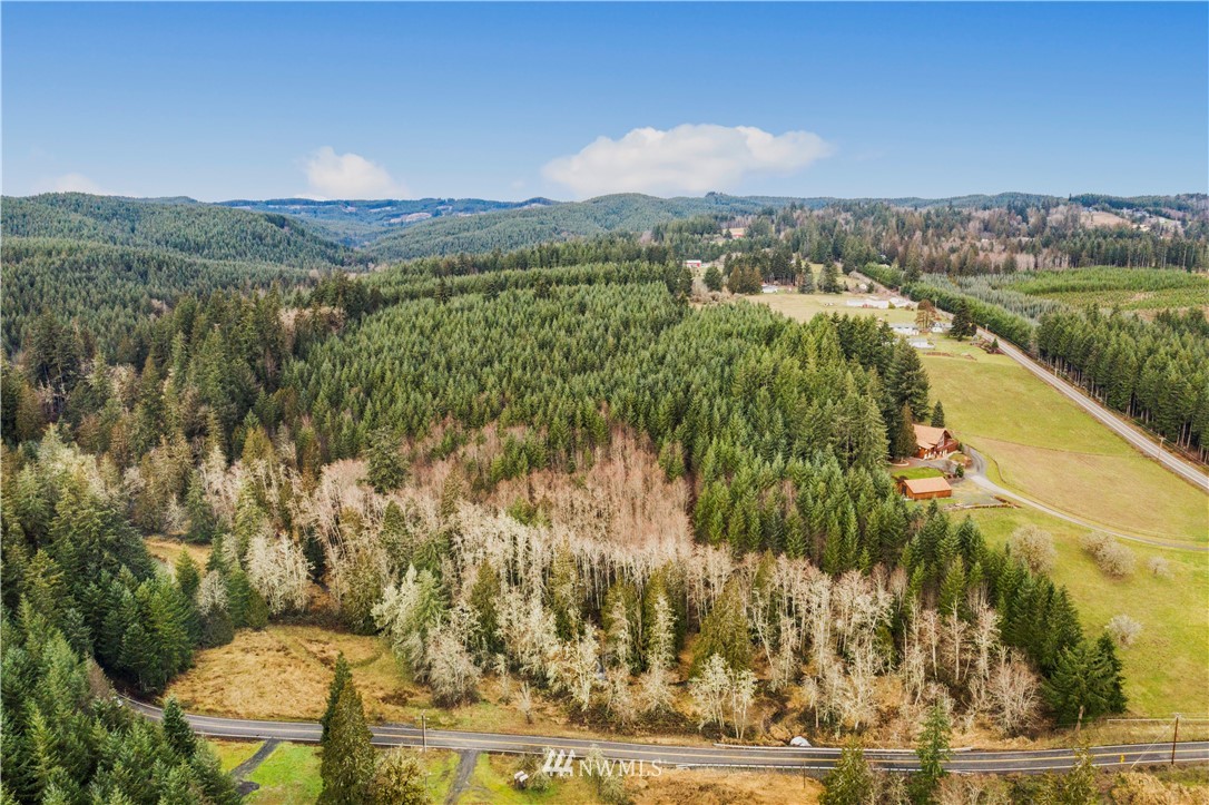 0 Jeffries Road Chehalis, WA 98532 - Photo 4 of 15