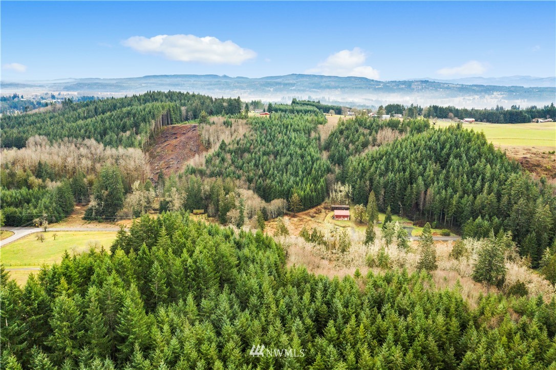 0 Jeffries Road Chehalis, WA 98532 - Photo 10 of 15