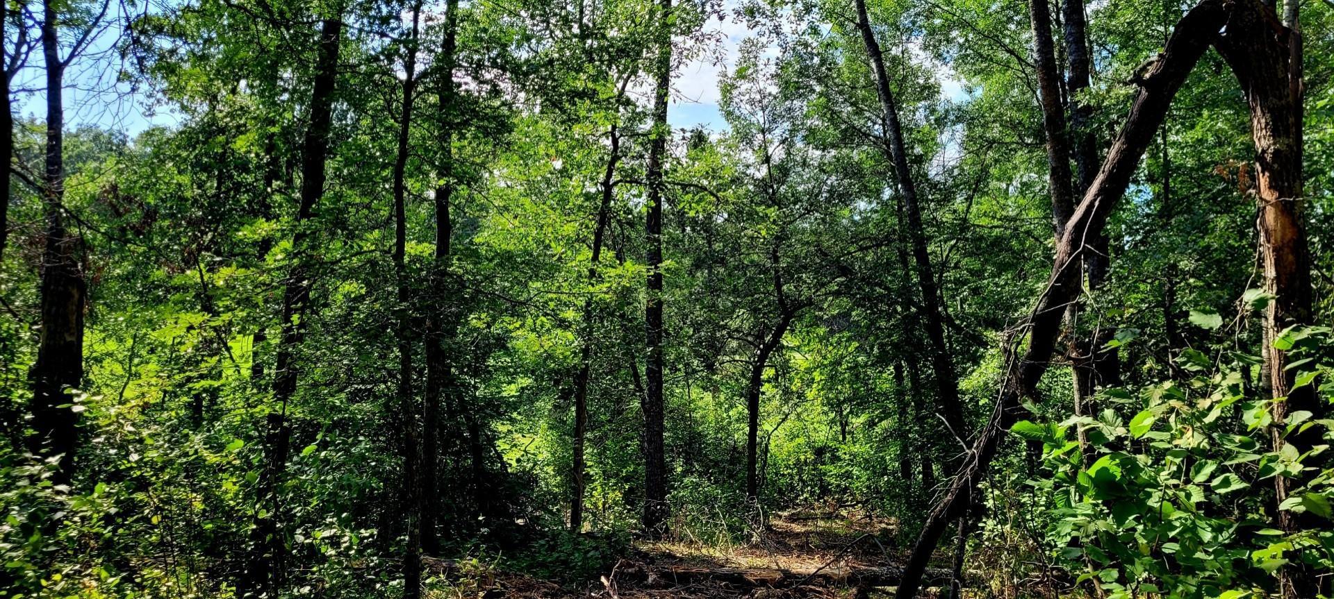 12 Suffolk Drive Breezy Point, MN 56472 - Photo 13 of 30