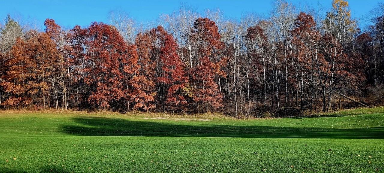 12 Suffolk Drive Breezy Point, MN 56472 - Photo 2 of 30
