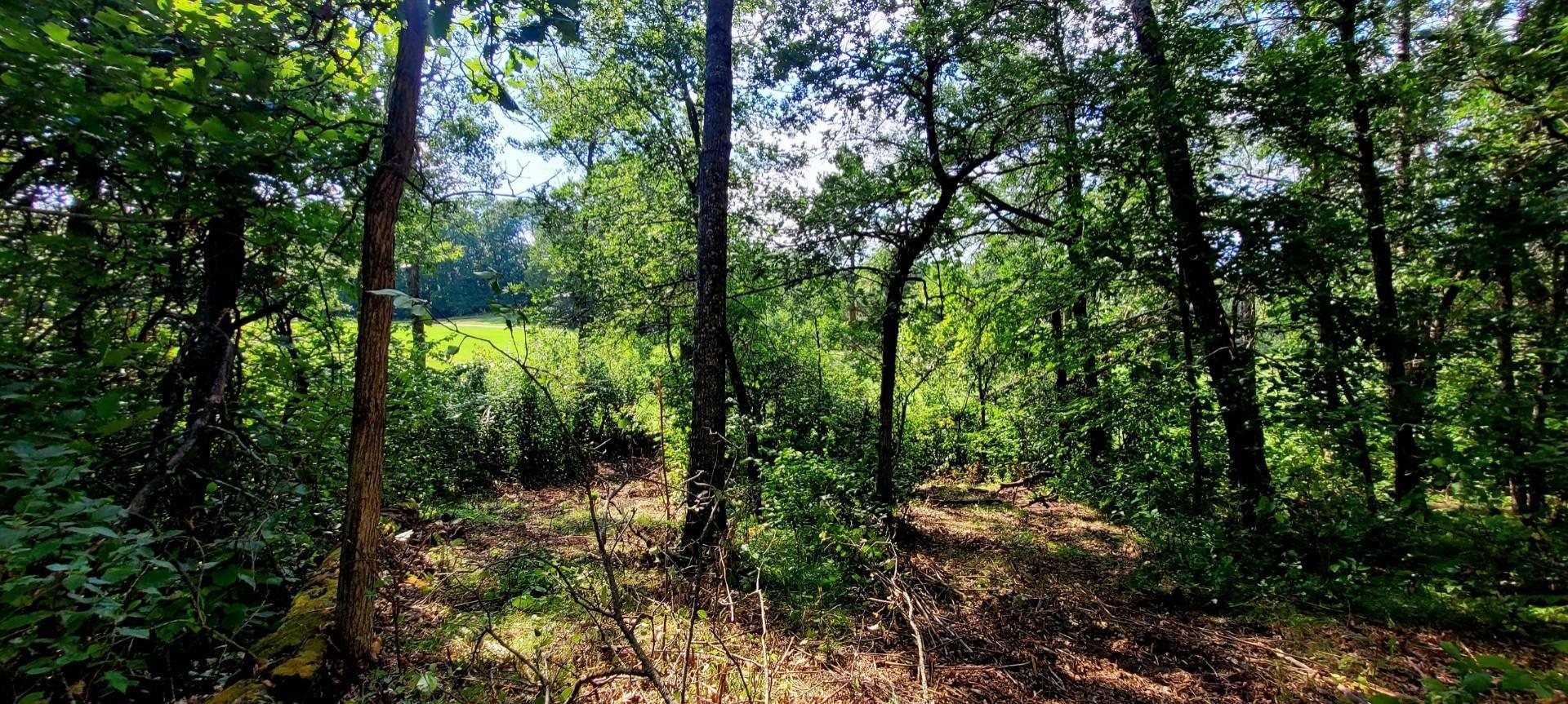 12 Suffolk Drive Breezy Point, MN 56472 - Photo 30 of 30