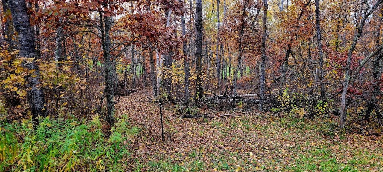 12 Suffolk Drive Breezy Point, MN 56472 - Photo 7 of 30