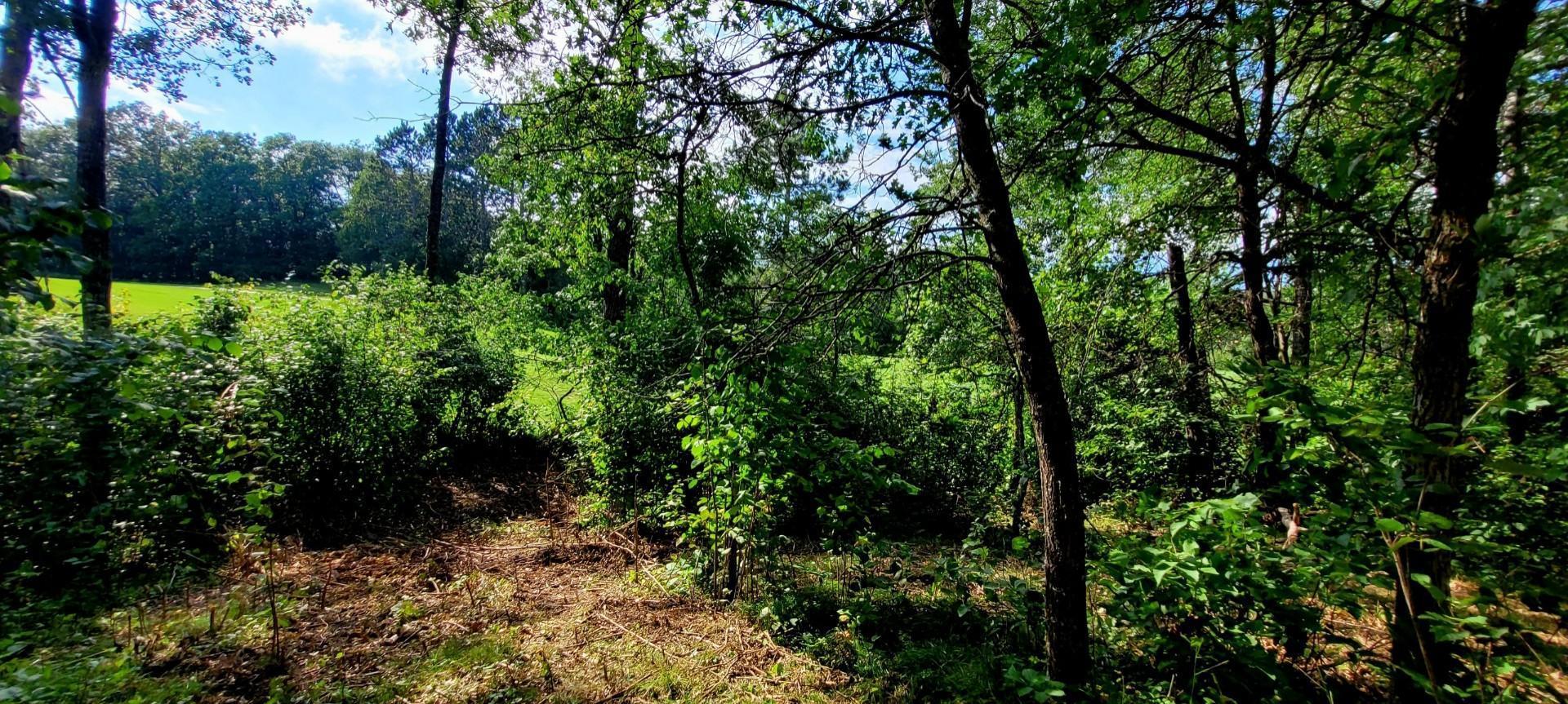 12 Suffolk Drive Breezy Point, MN 56472 - Photo 9 of 30