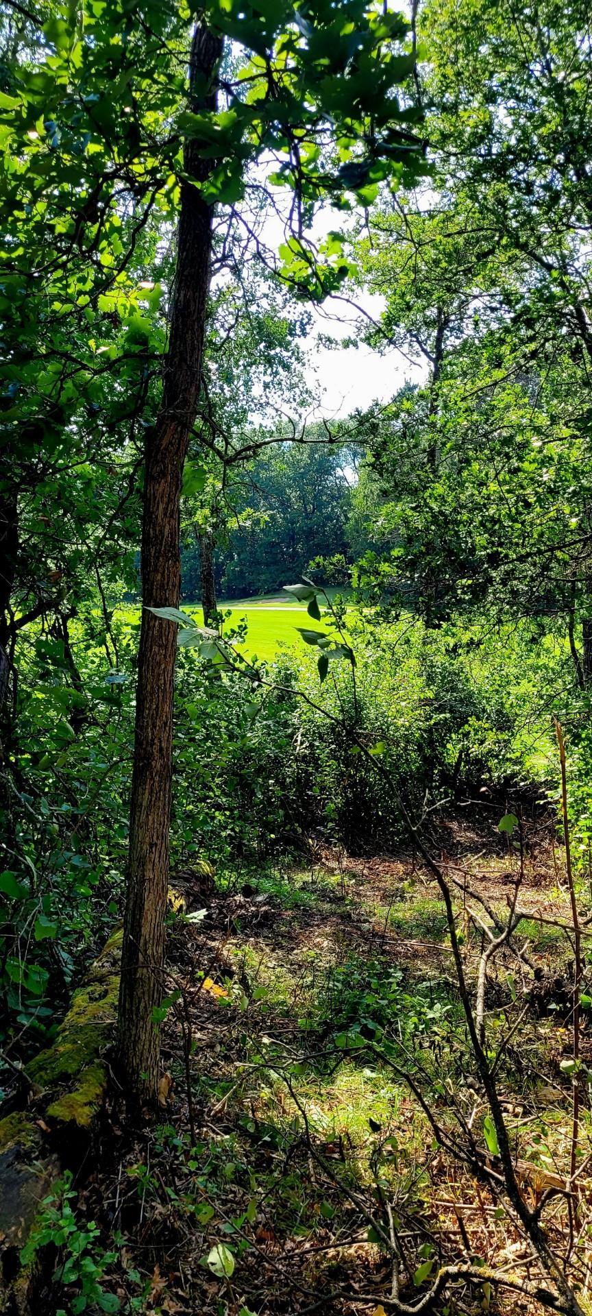 12 Suffolk Drive Breezy Point, MN 56472 - Photo 10 of 30