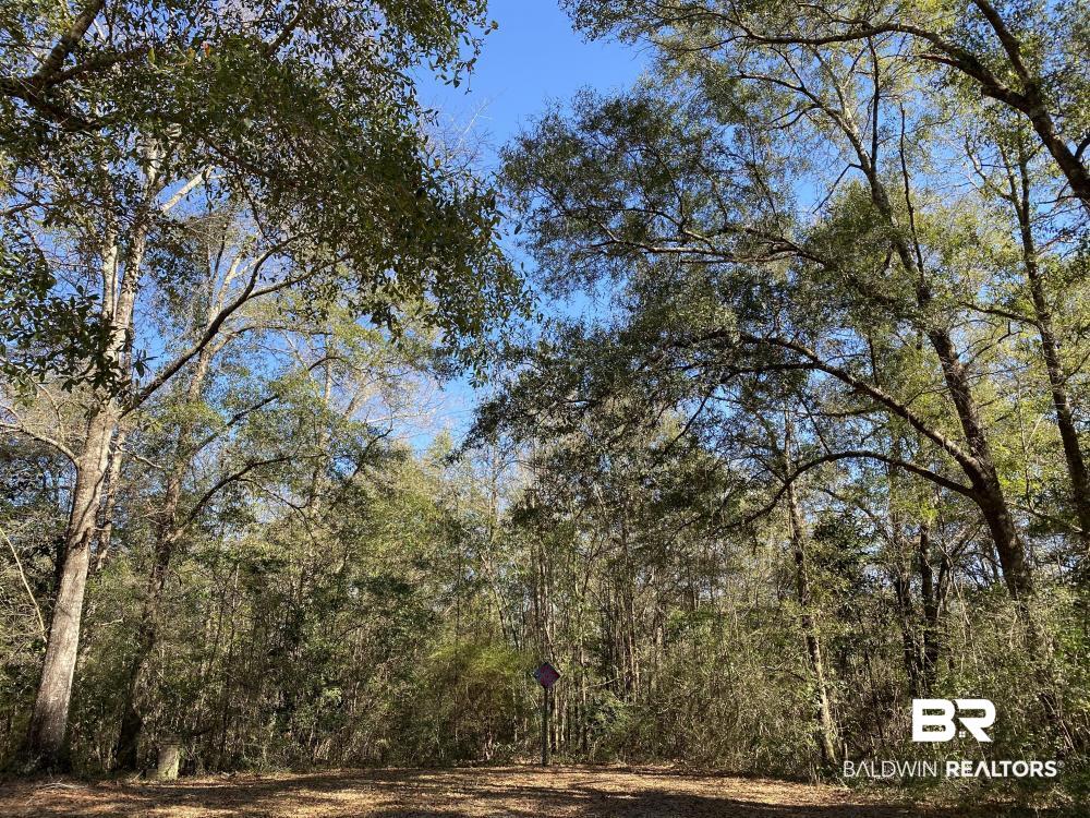 0 Moffett Road Semmes, AL 36575 - Photo 2 of 7