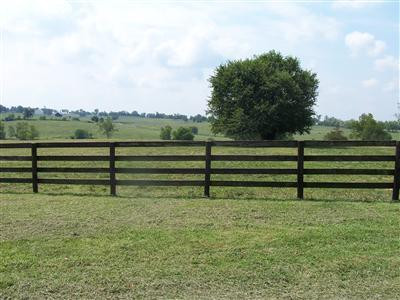 797 Ruddles Mill Road Paris, KY 40361 - Photo 4 of 7 Photo 4