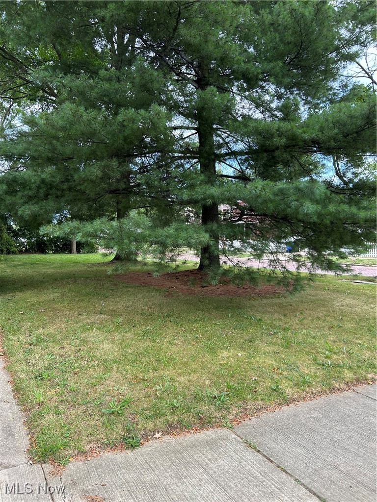 11406 Bellaire Road Cleveland, OH 44111 - Photo 28 of 28 View of yard