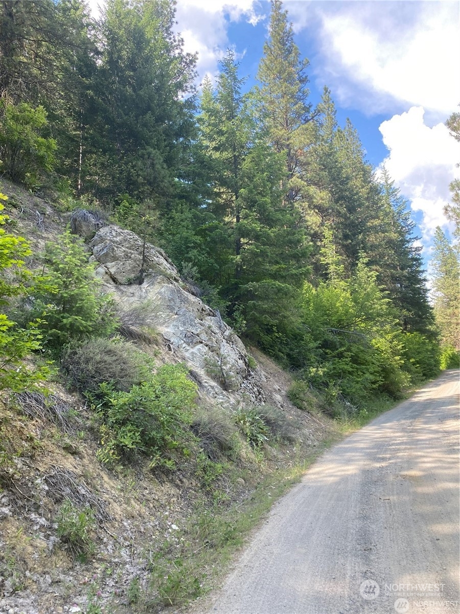 0 Second Creek Road Leavenworth, WA 98826 - Photo 2 of 6 a view of a road with a yard