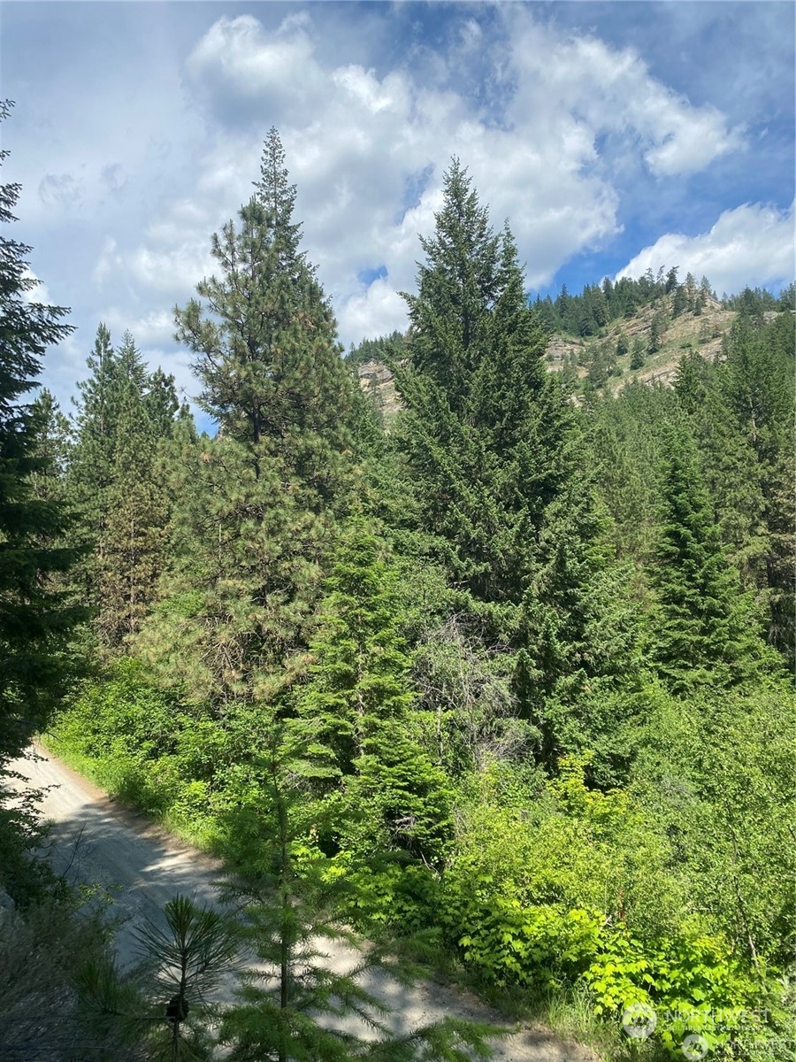 0 Second Creek Road Leavenworth, WA 98826 - Photo 3 of 6 a view of a bunch of trees
