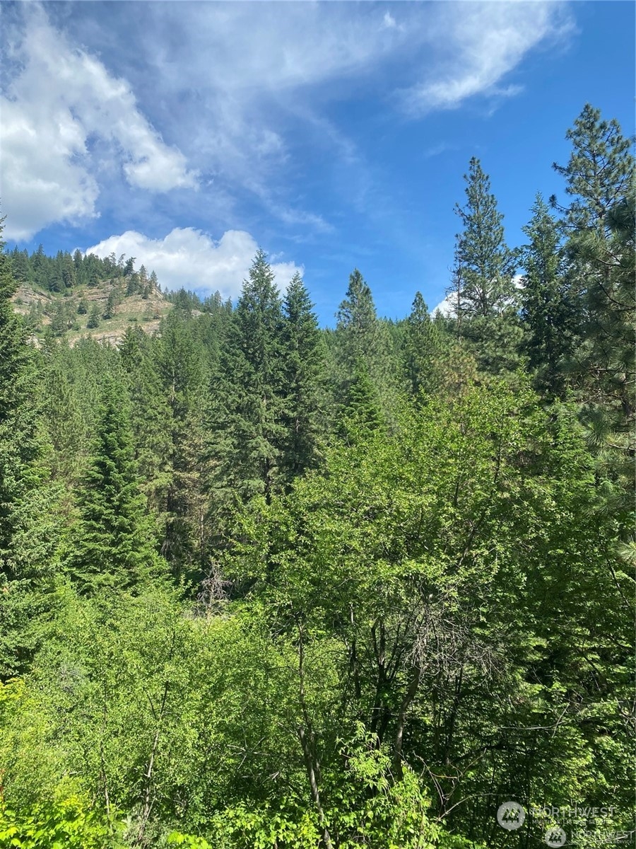 0 Second Creek Road Leavenworth, WA 98826 - Photo 4 of 6 a view of a city with lush green forest