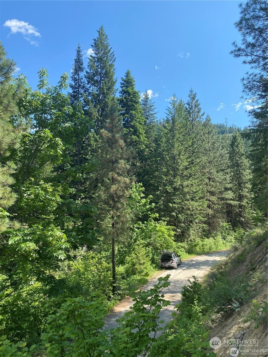 0 Second Creek Road Leavenworth, WA 98826 - Photo 5 of 6 a view of a garden