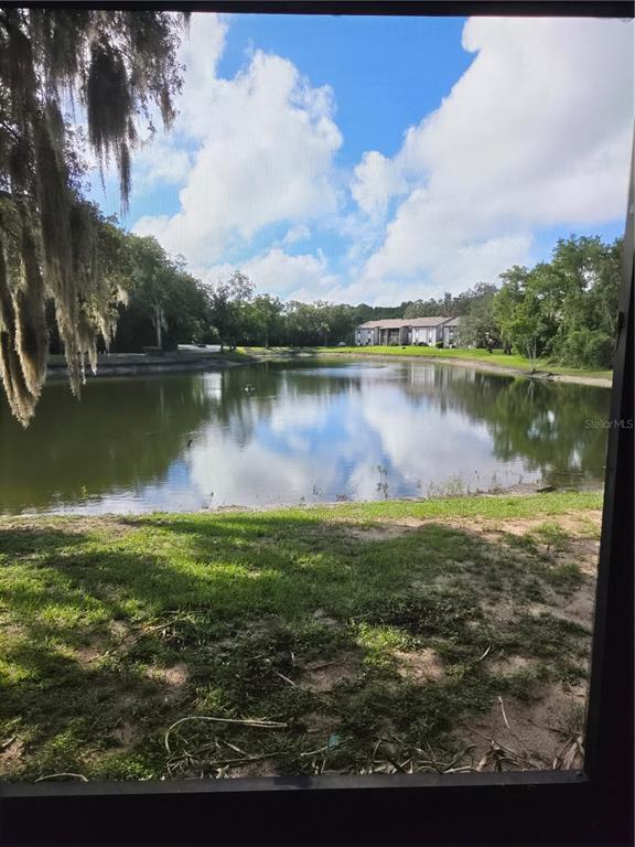 12025 Proctor Loop, Unit 2 New Port Richey, FL 34654 - Photo 13 of 14 Gallery Image 13