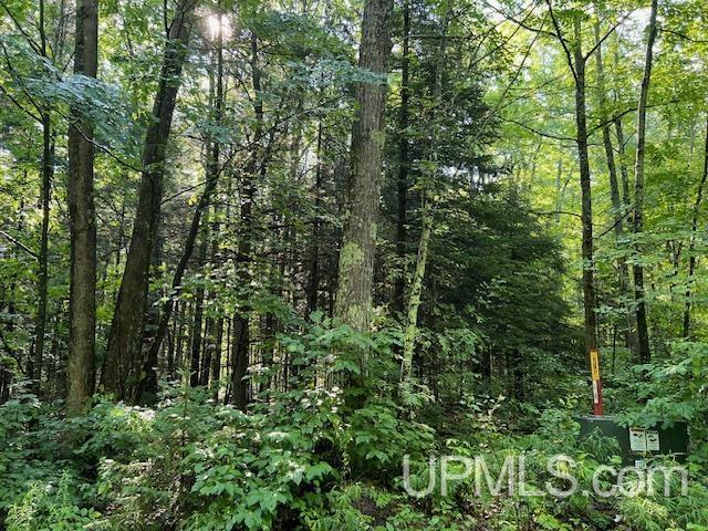 T-wi Big Bear Road Pembine, WI 54156 - Photo 6 of 7