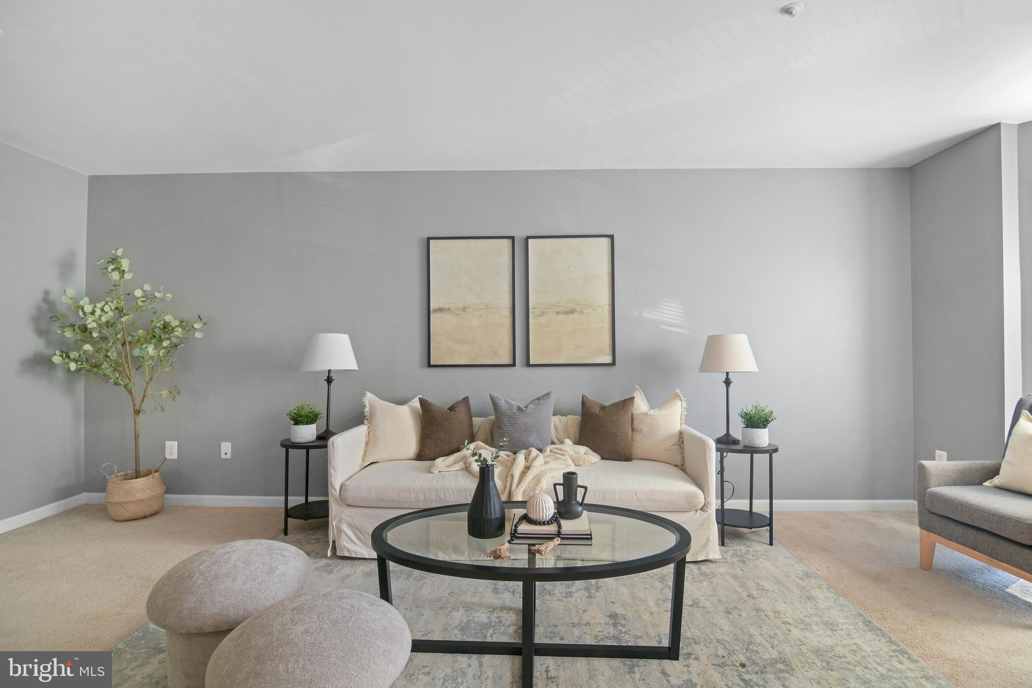 2020 Puritan Terrace Annapolis, MD 21401 - Photo 32 of 33 a living room with furniture and a potted plant