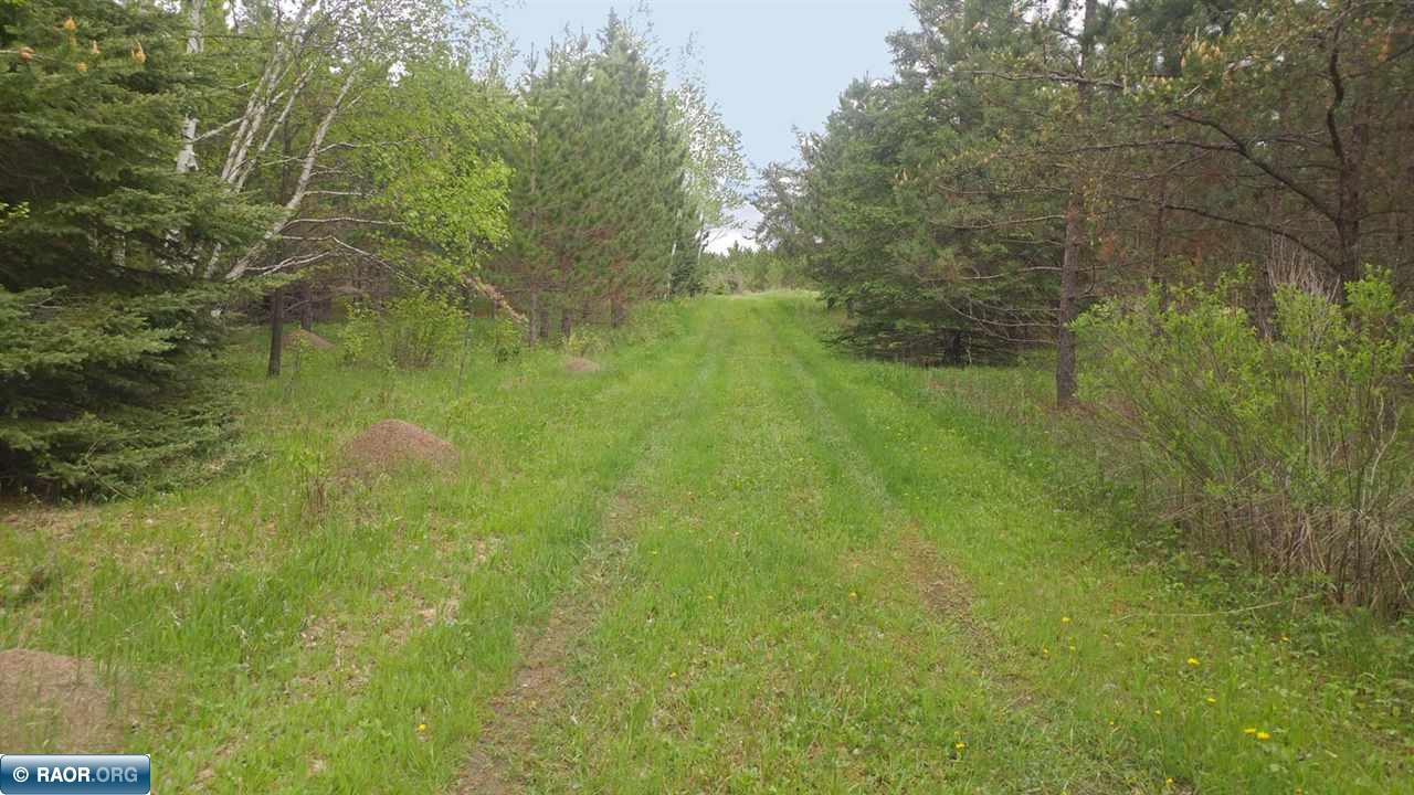 8428 Roini Road Angora, MN 55703 - Photo 1 of 11