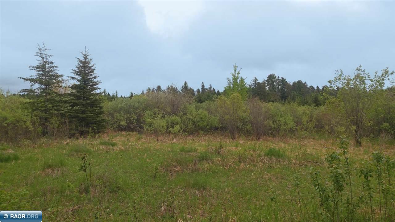 8428 Roini Road Angora, MN 55703 - Photo 2 of 11