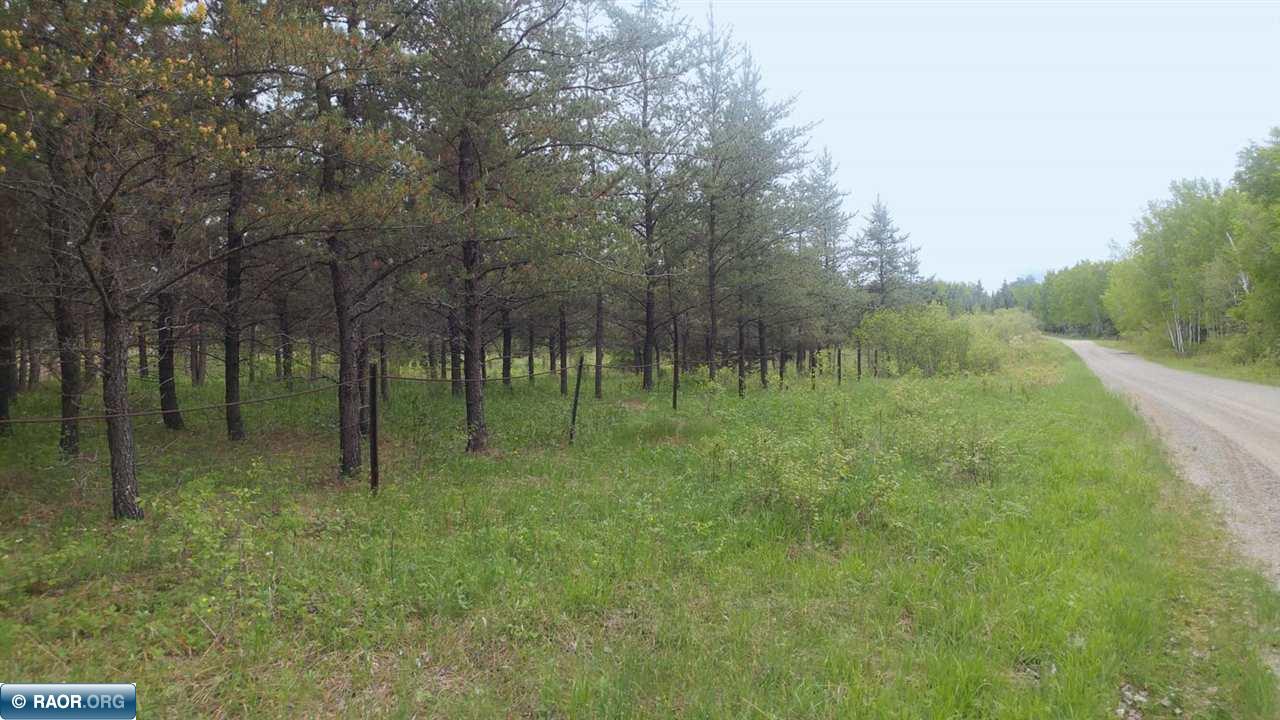 8428 Roini Road Angora, MN 55703 - Photo 6 of 11