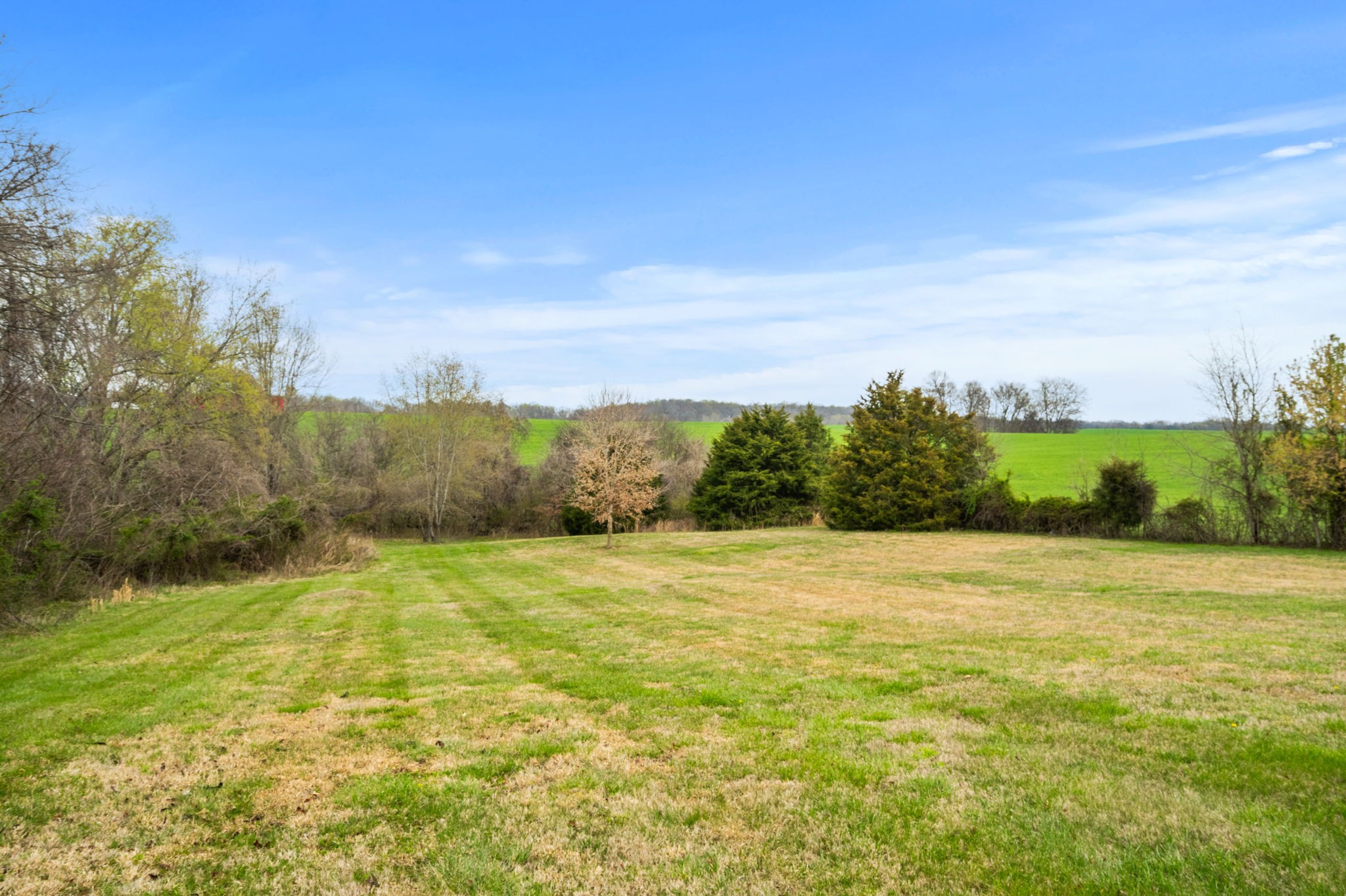 1848 Mint Springs Road Adams, TN 37010 - Photo 25 of 36 a view of an outdoor space and a yard