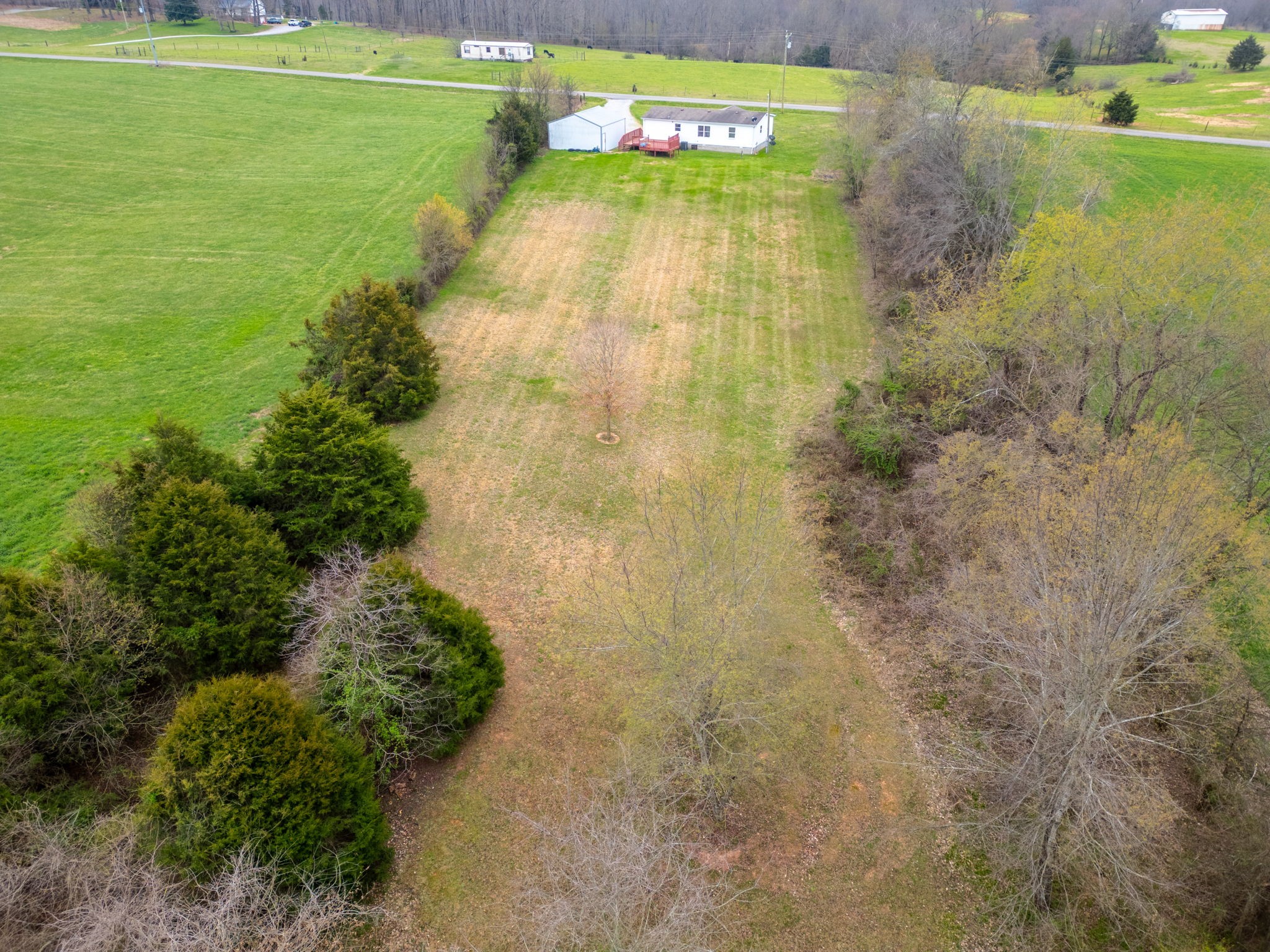 1848 Mint Springs Road Adams, TN 37010 - Photo 34 of 36 a view of a yard with an outdoor space