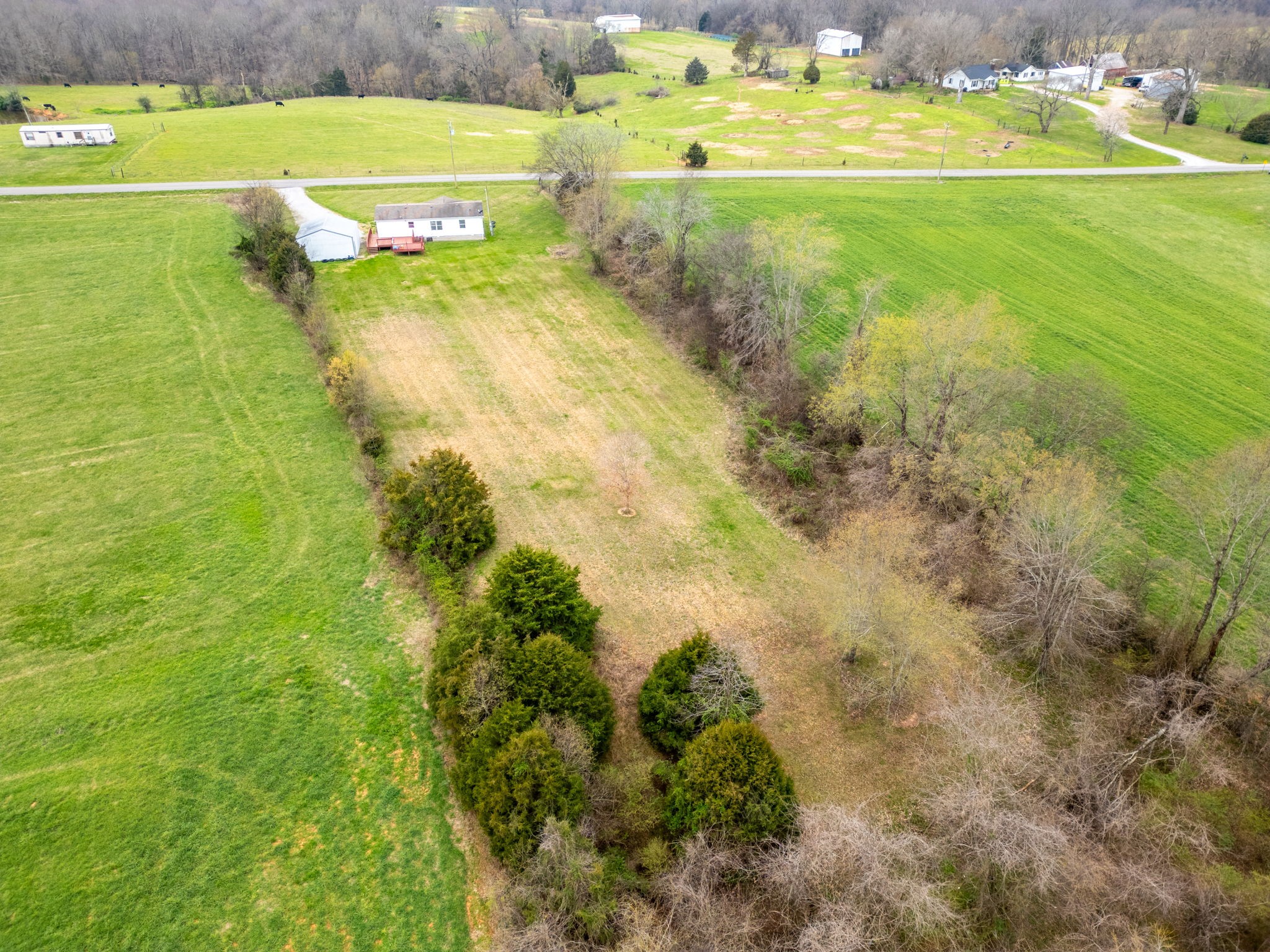 1848 Mint Springs Road Adams, TN 37010 - Photo 35 of 36