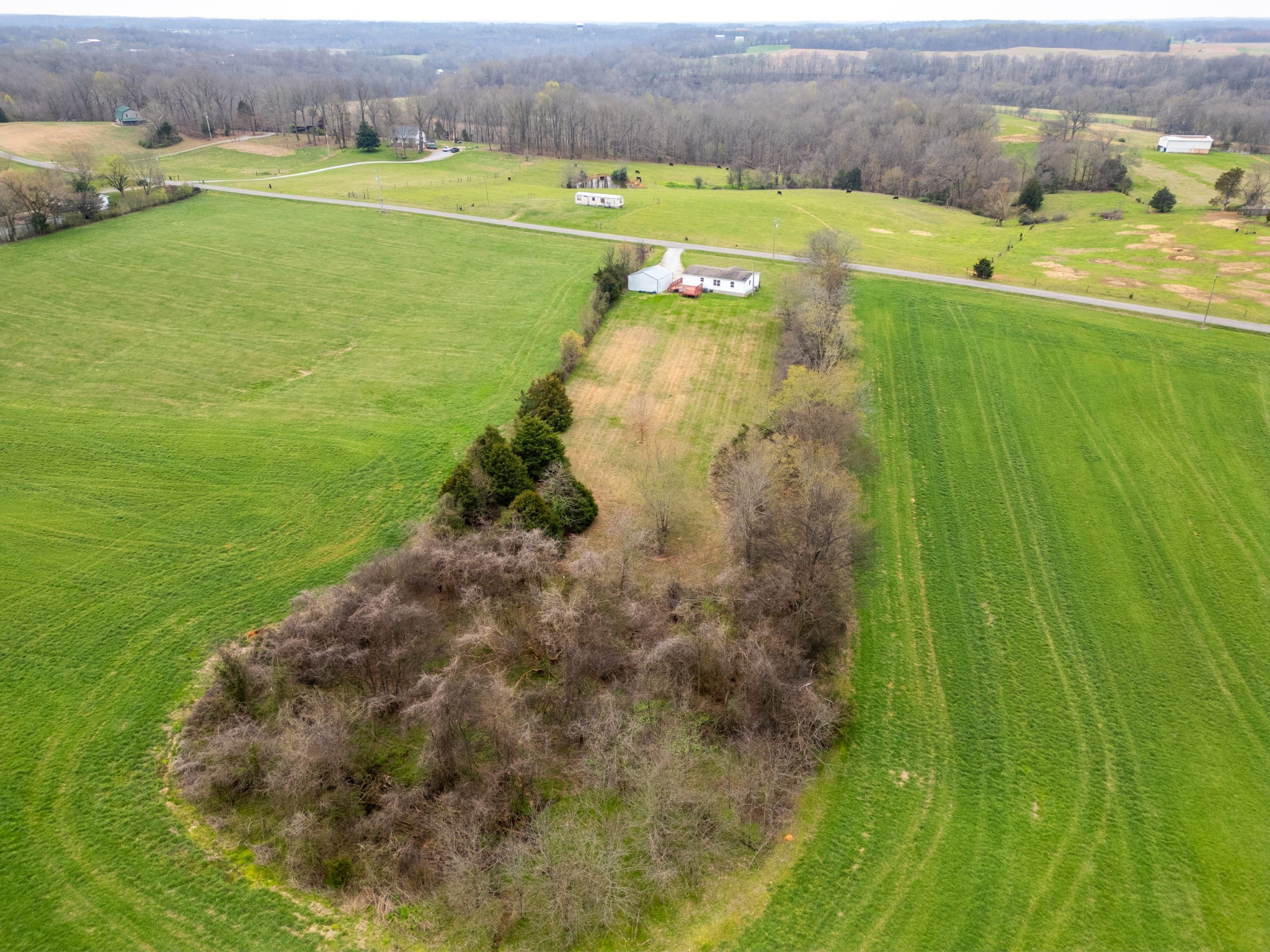 1848 Mint Springs Road Adams, TN 37010 - Photo 36 of 36 a view of an outdoor space and a lake view