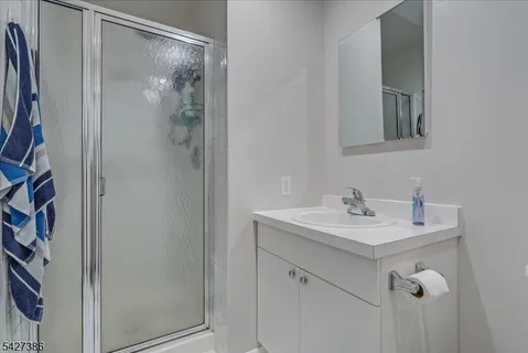 a bathroom with a sink a mirror and a shower
