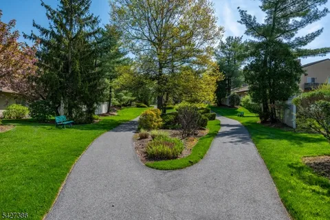 a view of a garden with a fountain