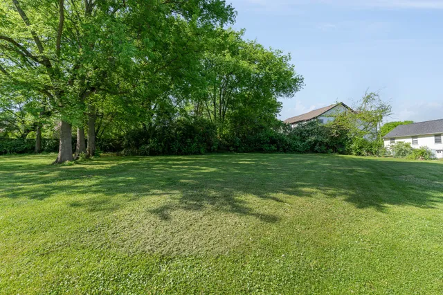 a view of a grassy field with trees in the background
