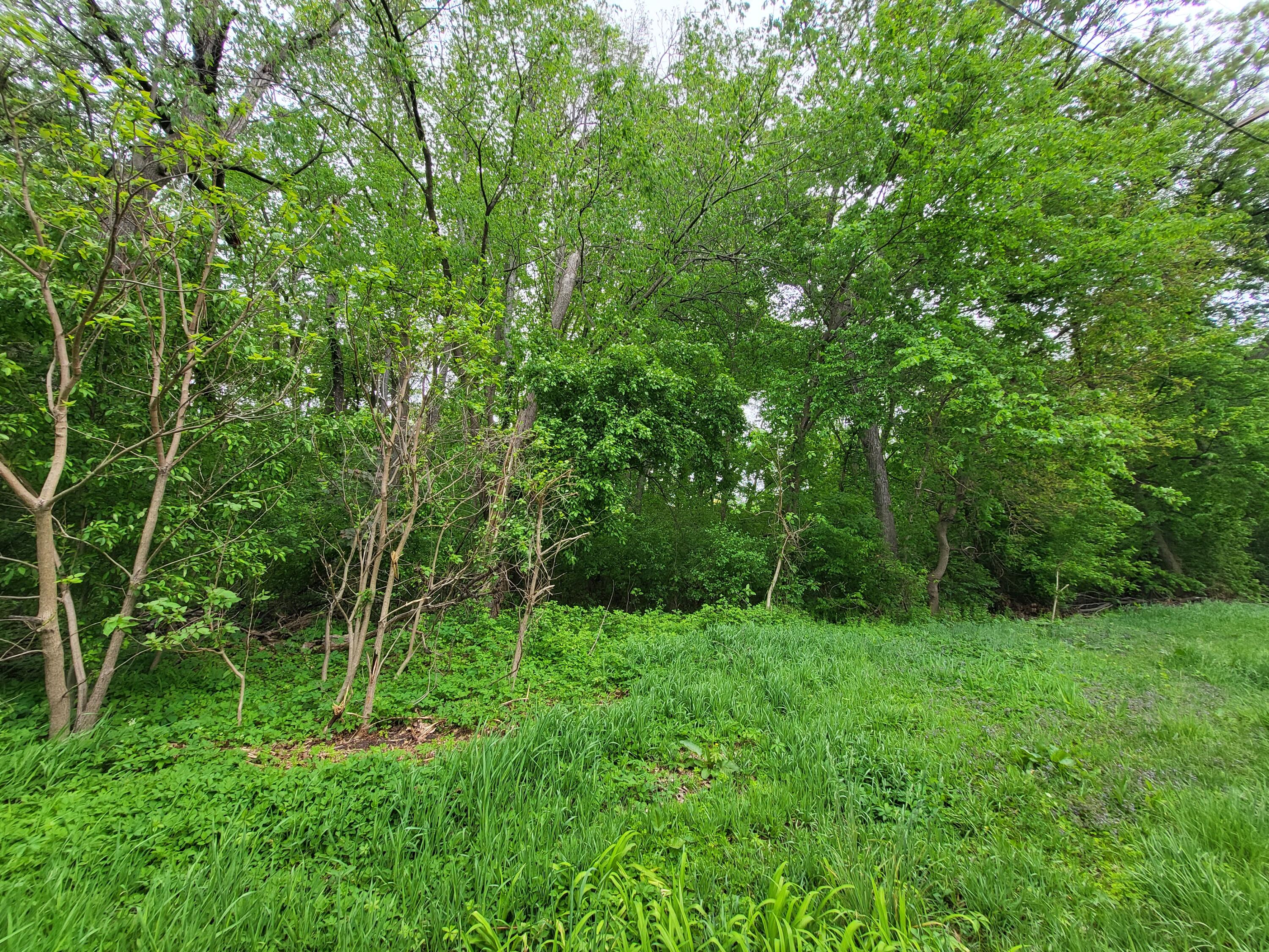 Lt0 East Shore Road Mukwonago, WI 53149 - Photo 1 of 1 1000063583