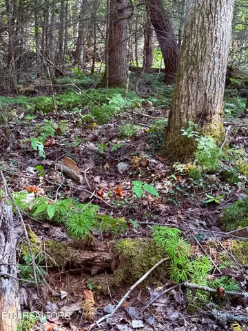 $178,000 | 1055 Big 4 Road, La Follette, TN 37766