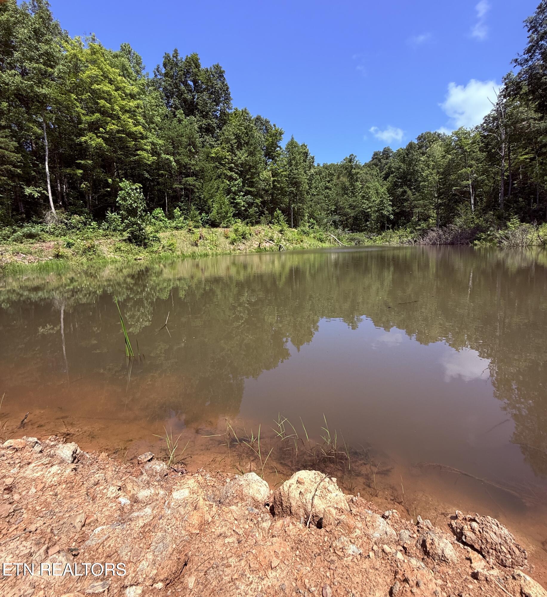 1055 Big 4 Road La Follette, TN 37766 - Photo 14 of 24 Pond from Dam