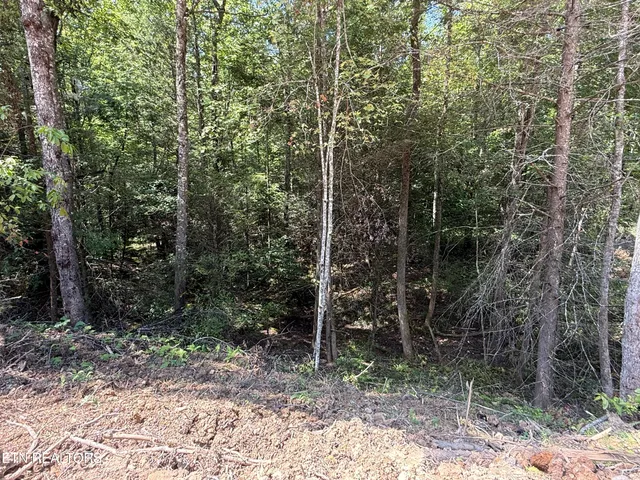 $178,000 | 1055 Big 4 Road, La Follette, TN 37766