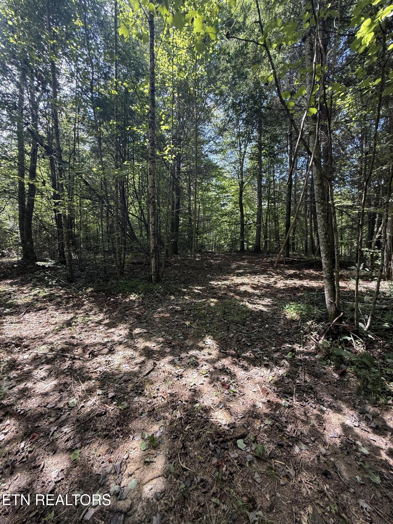 1055 Big 4 Road La Follette, TN 37766 - Photo 16 of 24 Road to back sites