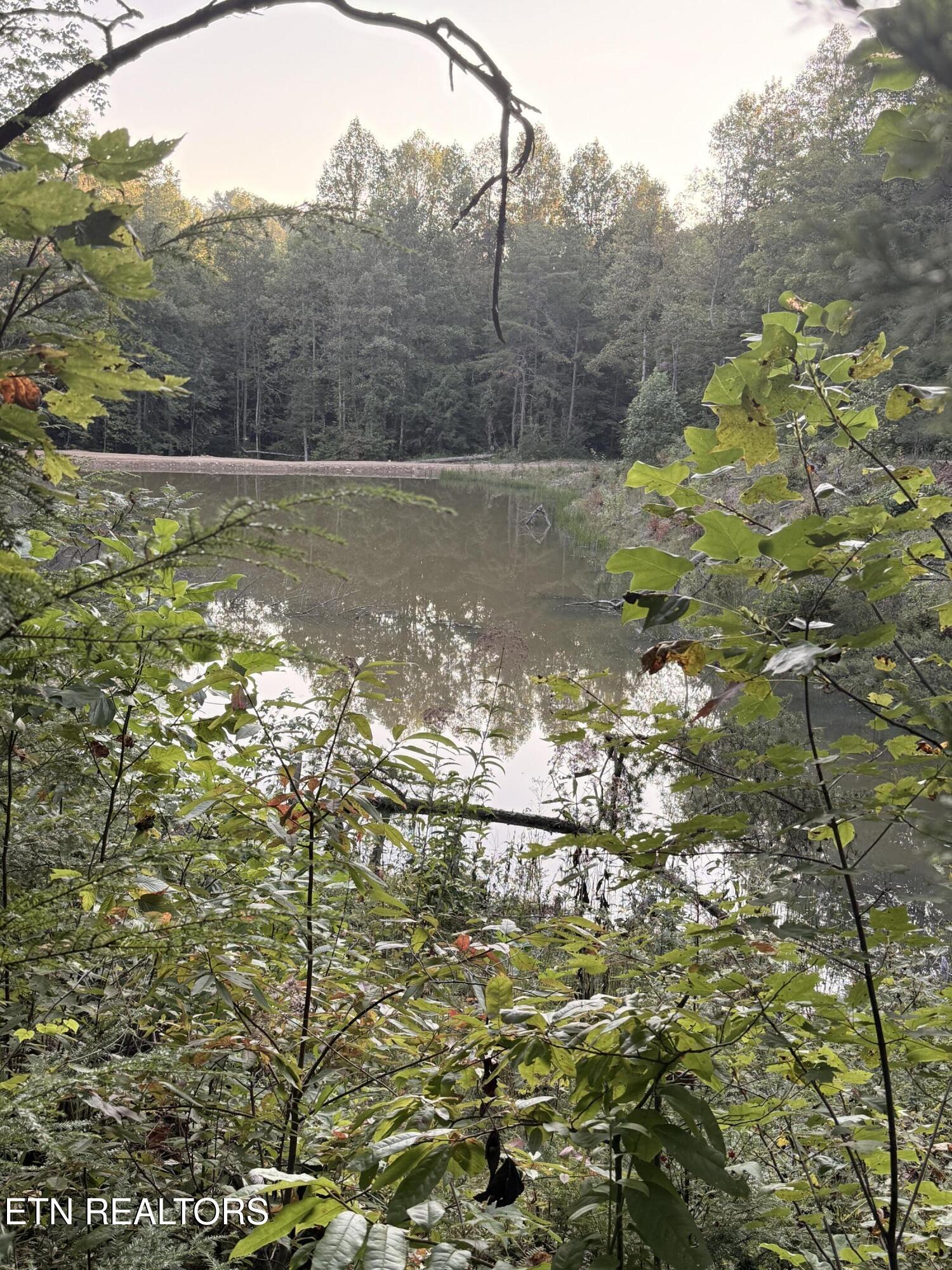 1055 Big 4 Road La Follette, TN 37766 - Photo 19 of 24 Far Side of Pond