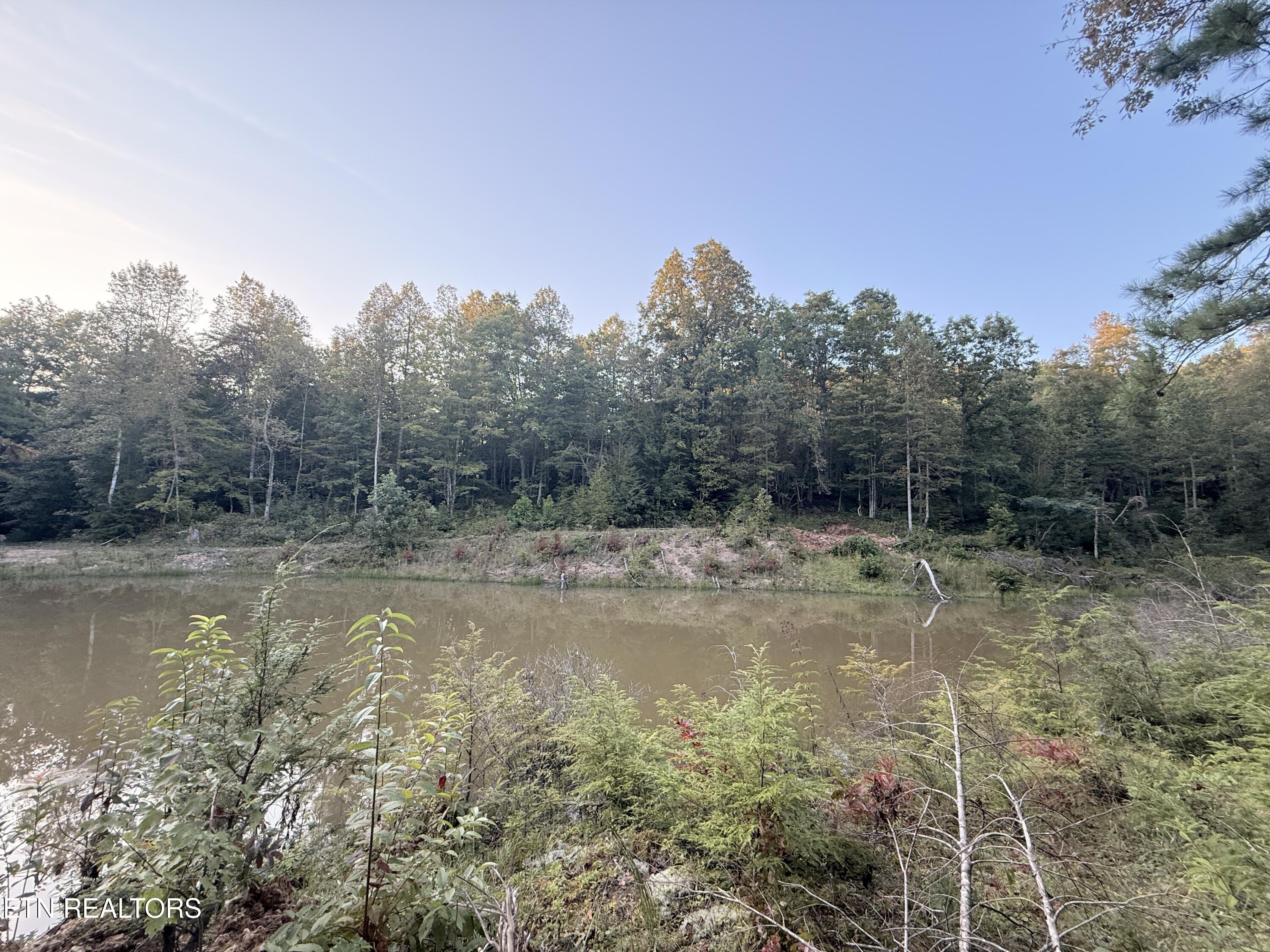1055 Big 4 Road La Follette, TN 37766 - Photo 21 of 24 Far Side Pond View