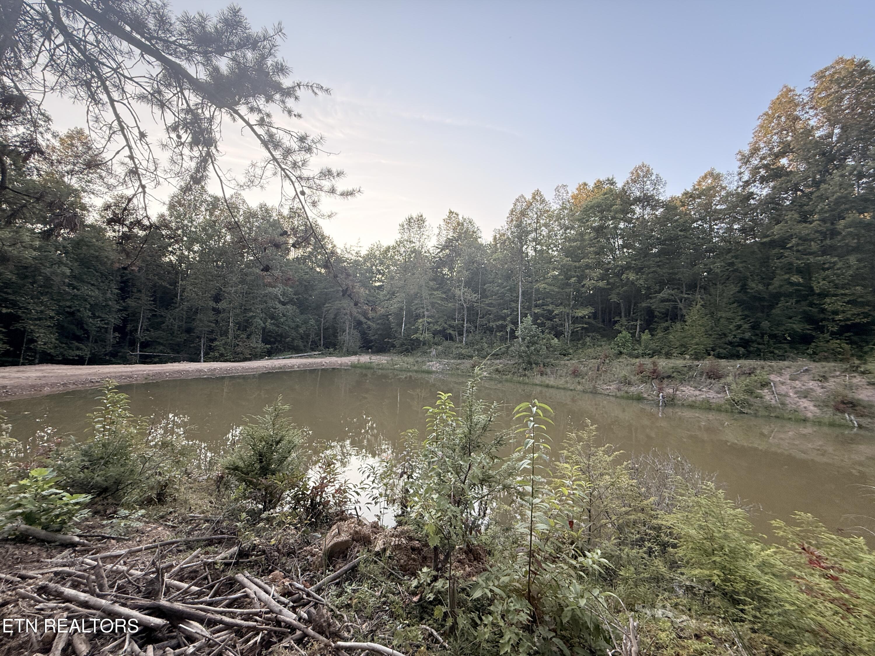 1055 Big 4 Road La Follette, TN 37766 - Photo 22 of 24 Far Side Pond View