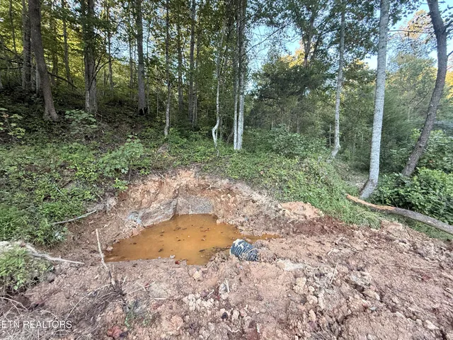 $178,000 | 1055 Big 4 Road, La Follette, TN 37766